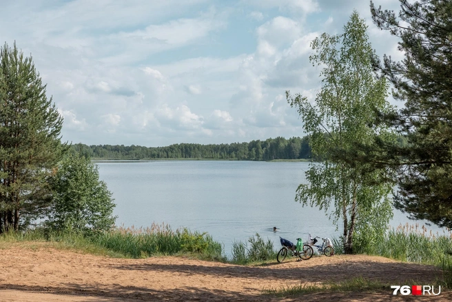 Горожане приезжают на велосипедах, чтобы искупаться | Источник: Александр Куренной / 76.RU
