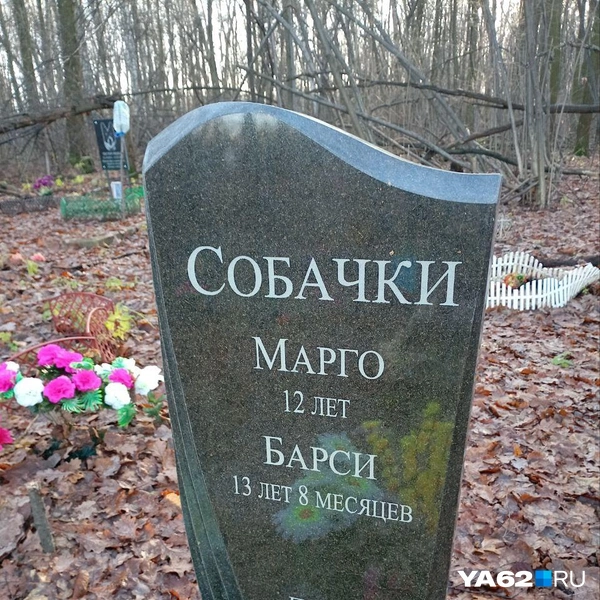 Источник: Анастасия Фокина / YA62.RU