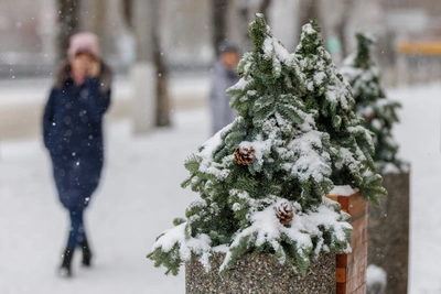 Новогодняя погода в Волгограде: зимняя, но недолго