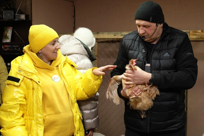 Фермы Челябинской области приглашают туристов познакомиться с жизнью деревни | Источник: Юлия Азарова