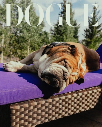 Питомец Льюиса по кличке Роско живет свою лучшую жизнь | Источник: voguemagazine / Instagram (экстремистская организация, деятельность запрещена на территории РФ)