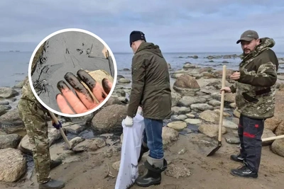 В Ленобласти начали очищать берег от нефтепродуктов