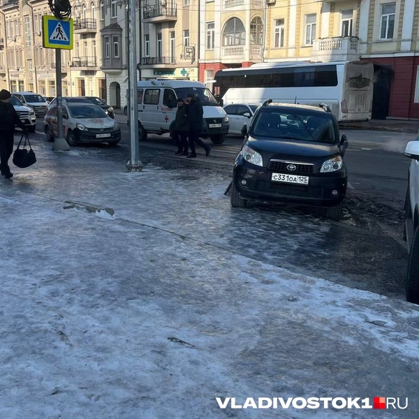 Источник: Елена Буйвол / VLADIVOSTOK1.RU