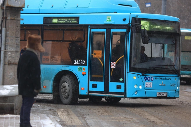 Троллейбус полностью дублирует схему автобуса № 81 | 142.ru