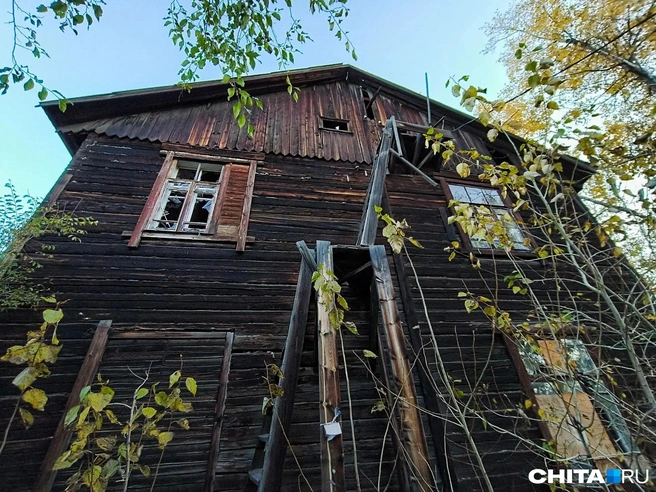 Источник: Любовь Никитина / CHITA.RU