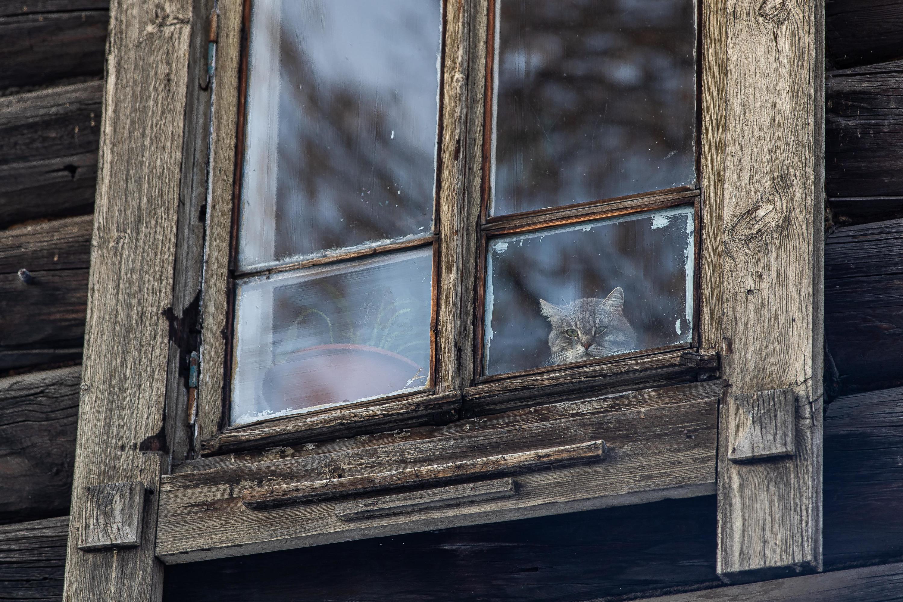 В Новосибирске жители 92-летнего дома остались без УК и с затопленным  подвалом, ноябрь-декабрь 2022 года - 2 декабря 2022 - НГС.ру