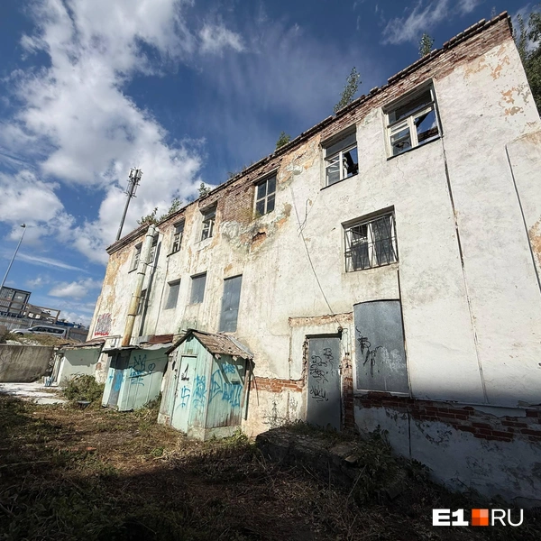 Источник: Дарья Саморукова / E1.RU