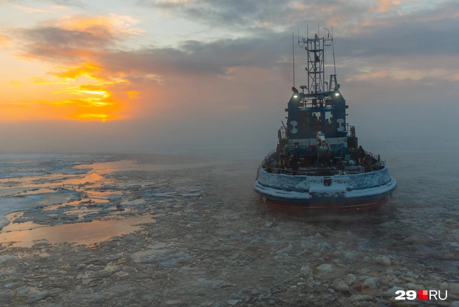 Источник: Иван Митюшёв / 29.RU