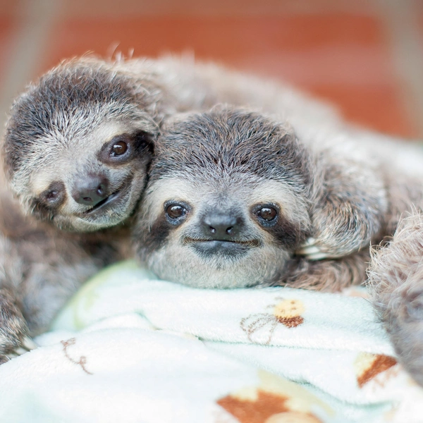 Источник: SAM TRULL / CATERS NEWS via Legion Media