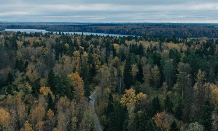 Кадр из сериала | Источник: Онлайн-кинотеатр Okko / YouTube