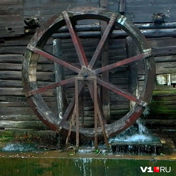 Источник: Илья Воробушкин / V1.RU