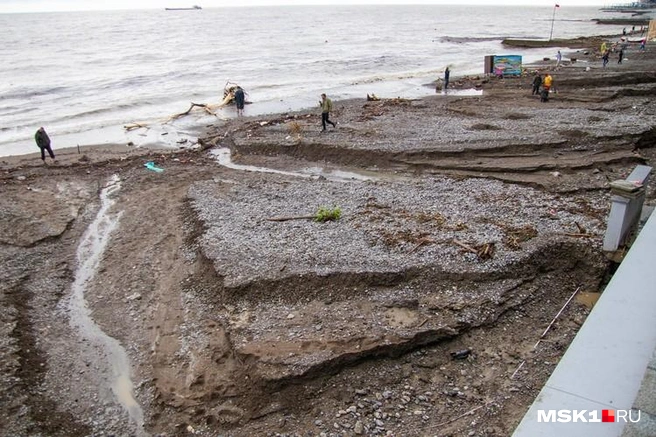 Островов хоть и нет, но мусора&nbsp;— море | Источник: Александра Сотникова / MSK1.RU