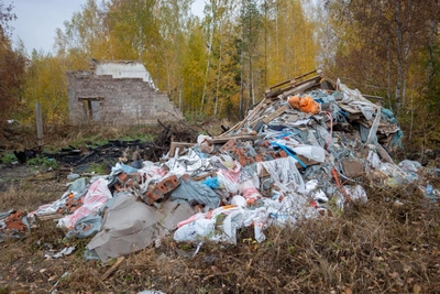 Администрацию Борисоглебска обязали ликвидировать свалки