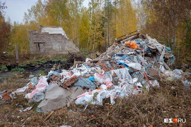 Прокуратура обнаружила мусорные завалы у контейнерных площадок | Источник: Владислав Лоншаков / E1.RU