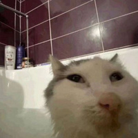 Аватарка Дарья Скачкова