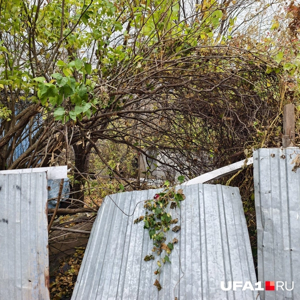 Забор уже завалился  | Источник: Булат Салихов / UFA1.RU