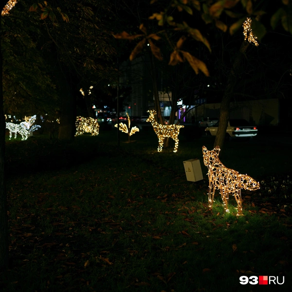 Люди уже начинают топтать газоны ради фото — делать этого нельзя | Источник: Дарья Паращенко / 93.RU