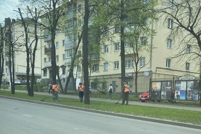 В Костроме стартовал окос травы на городских территориях