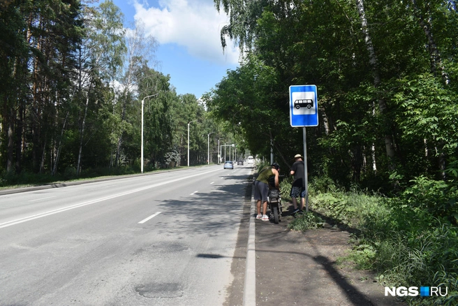 Остановка «Университетский проспект» не оборудована ничем, кроме знака | Источник: Рихарда Лем / NGS.RU