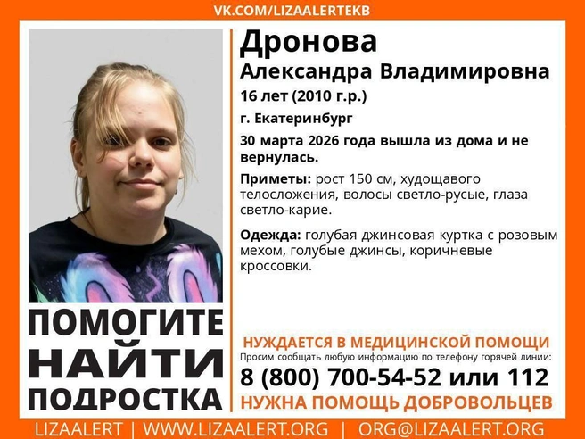 Источник: «ЛизаАлерт»