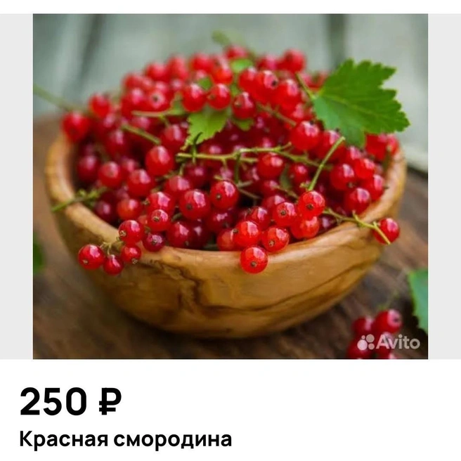 В среднем литр стоит 250–350 рублей | Источник: Avito.ru