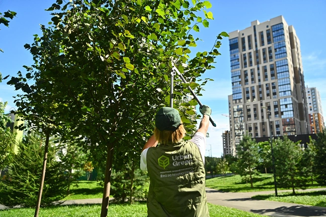 За растениями постоянно ухаживают профессиональные садовники, агрономы и арбористы | Источник: Максим Воробьев