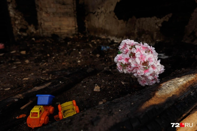 На пепелище принесли цветы и игрушки  | Источник: Ирина Шарова / 72.RU