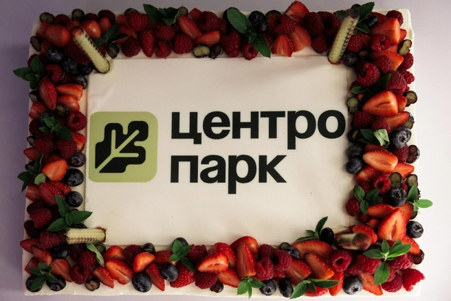 Источник: Федеральный девелопер «Железно»