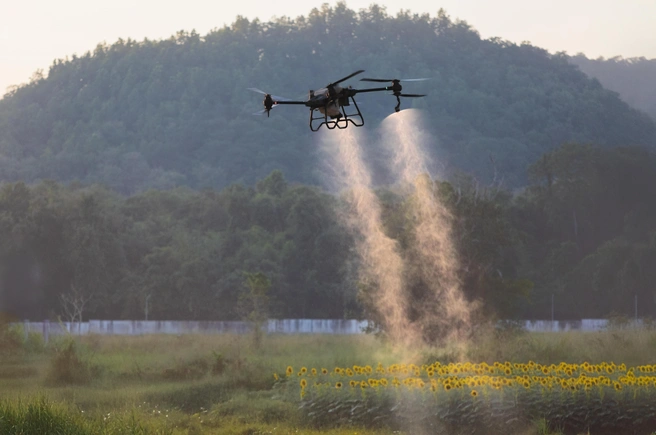 Источник: Shutterstock.com