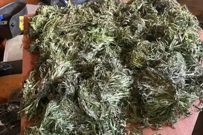 Житель Чистопольского района хранил марихуану