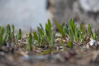 В Приморье тепло продержится весь день