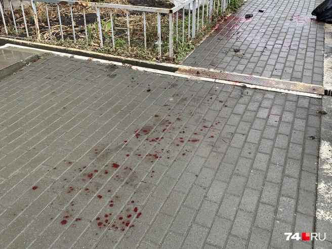 Но вопросы при выходе из подъезда возникают в любом случае | Источник: Виталий Гущинский