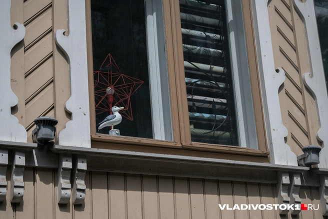 Символ города, как-никак | Источник: Елена Буйвол / VLADIVOSTOK1.RU