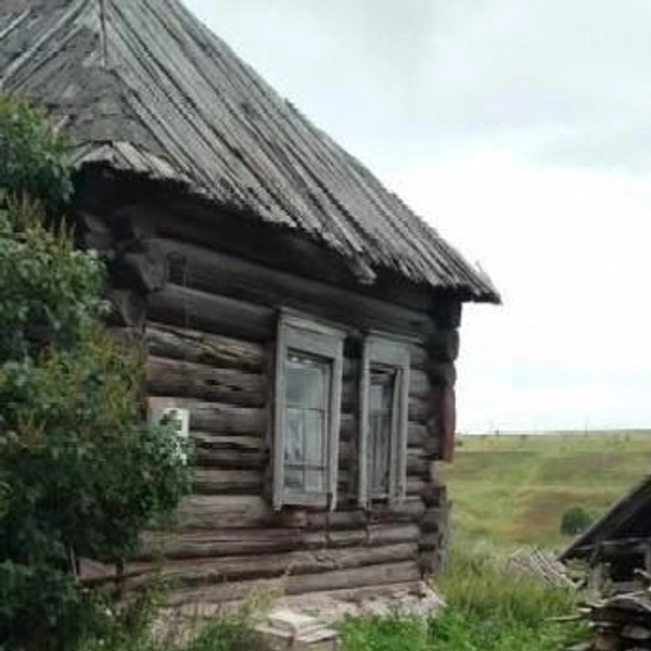 Вокруг старого дома растет трава | Источник: Avito.ru