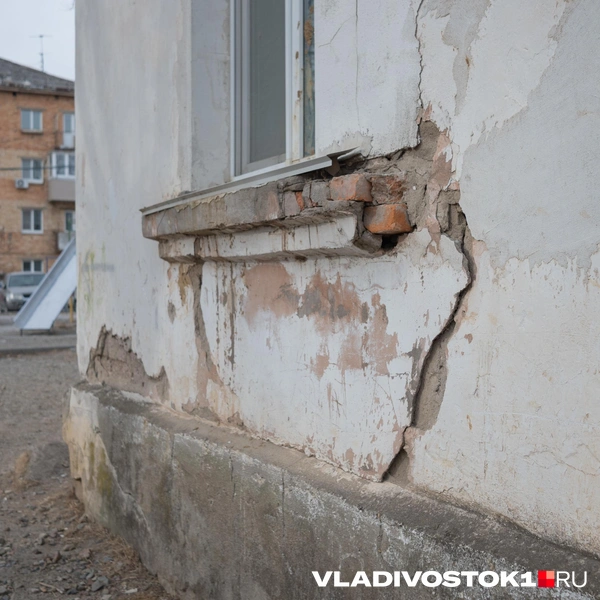 Источник: Елена Буйвол / VLADIVOSTOK1.RU