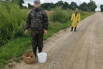 Спасатели МЧС вывели заблудившихся из болота