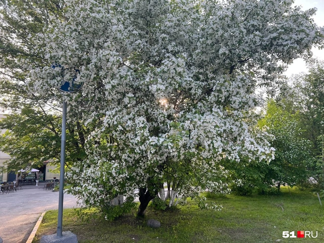 Источник: Александра Балаба