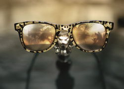 Вещь дня: очки Carrera by Jimmy Choo