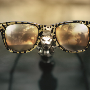 Вещь дня: очки Carrera by Jimmy Choo
