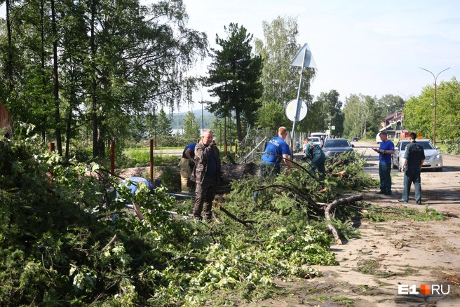 По всему городу повалены деревья. Сейчас завалы разбирают, поврежденные деревья спиливают, чтобы не создавать угрозы | Источник: Владислав Лоншаков / E1.RU