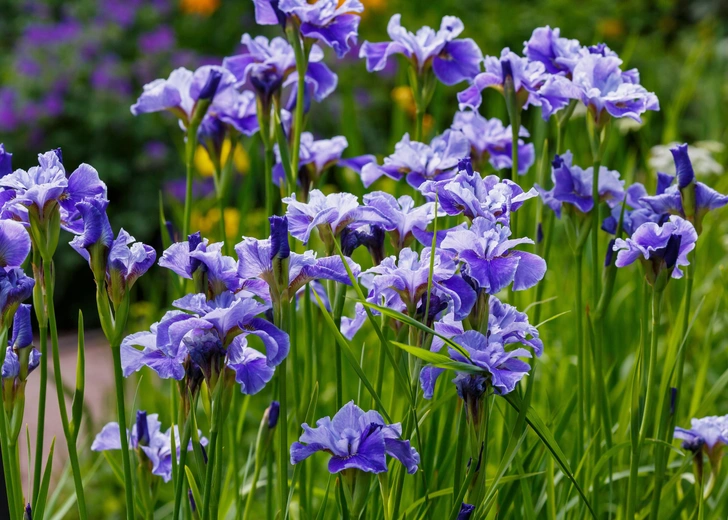 Источник: Shutterstock/Fotodom.ru