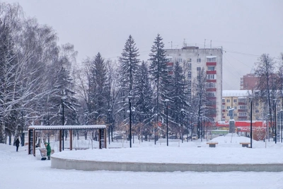 Уфимцы спорят о красоте и запахах Черниковки