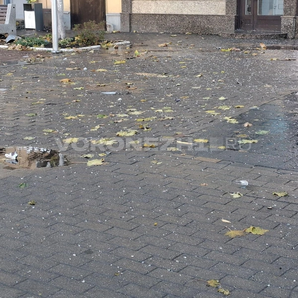 Источник: Алёна Воропаева / Voronezh1.ru