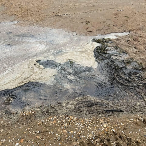 Мазутная пленка | Источник: Валерия Дульская / 93.RU