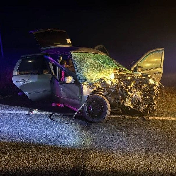 Источник: УМВД России по Оренбургской области