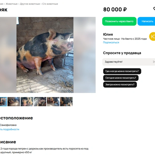 Источник: скриншот avito.ru