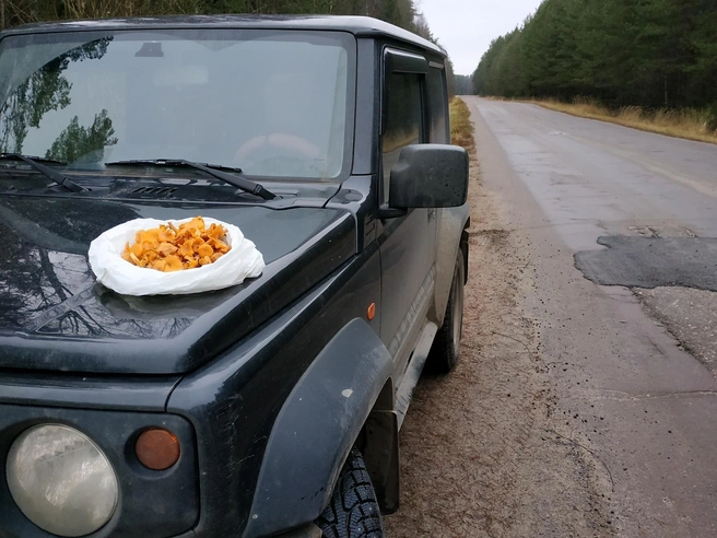 Жители региона активно публикуют фотографии грибов, собранных зимой. | Источник: Светлана Рзаева, «Грибы Ярославской области» / Vk.com