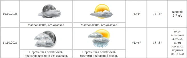 По Курганской области местами воздух прогреется до +16°, +18° | Источник: kurganpogoda.ru 