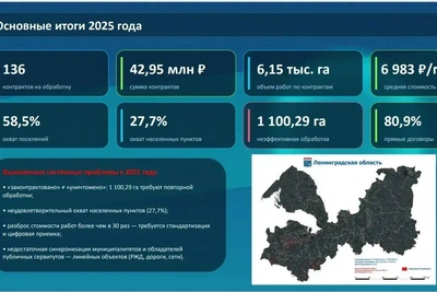 Ленобласть создаст цифровой сервис против борщевика