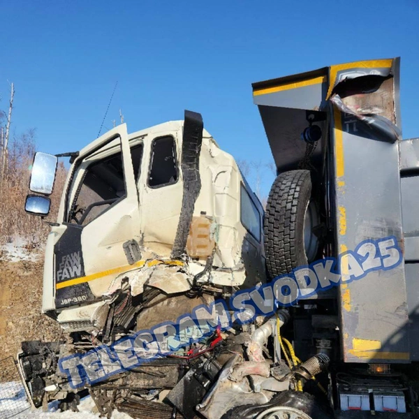 Источник: «Svodka25 l Новости Приморья и Владивостока» / T.me